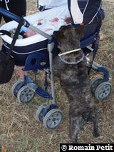 040820071217a 040820071217a