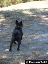 040820071220f 040820071220f