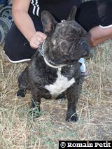 040820071221b 040820071221b