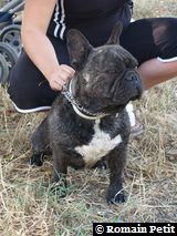 040820071221c 040820071221c