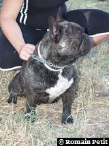 040820071221d 040820071221d