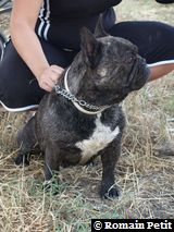 040820071221e 040820071221e