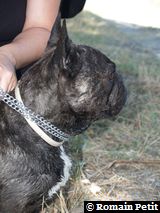 040820071222c 040820071222c