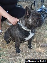 040820071222e 040820071222e