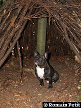 120720051129a 120720051129a