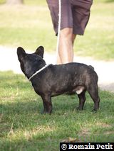 081020051631e 081020051631e