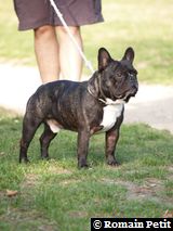 081020051631f 081020051631f