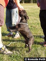 081020051651k 081020051651k