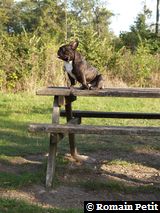 081020051707e 081020051707e