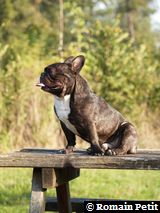 081020051707f 081020051707f