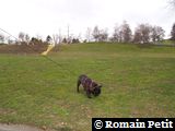 080320061415d 080320061415d