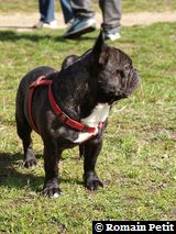 010420061509b 010420061509b