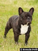 250520061151f 250520061151f