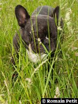 250520061156d 250520061156d