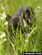 250520061157a 250520061157a