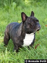 230920061137f 230920061137f