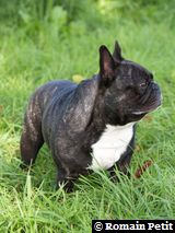 230920061137g 230920061137g