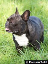 230920061138g 230920061138g