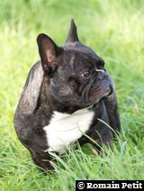 230920061138h 230920061138h