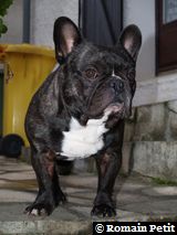 251120061541c 251120061541c