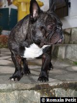 251120061541d 251120061541d