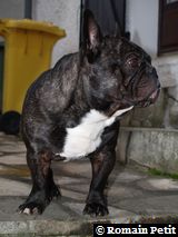 251120061541e 251120061541e