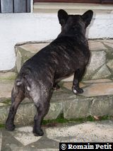 251120061546 251120061546