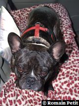 010320071635a 010320071635a