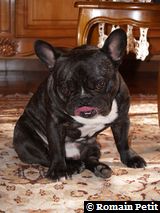 020320071047 020320071047