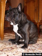 020320071049b 020320071049b