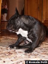 020320071049c 020320071049c