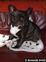 020320071058c 020320071058c