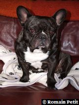 020320071059b 020320071059b