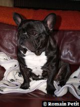 020320071059d 020320071059d