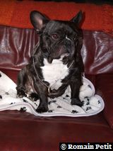 020320071100a 020320071100a