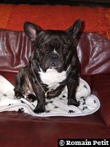 020320071100b 020320071100b