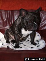 020320071100c 020320071100c