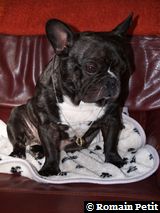 020320071100d 020320071100d