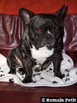 020320071100e 020320071100e