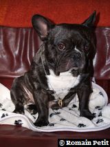 020320071100f 020320071100f