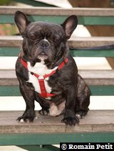 020320071540c 020320071540c