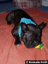 090520070903b 090520070903b