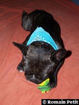 090520070904 090520070904