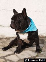 090520071738a 090520071738a