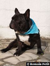 090520071738b 090520071738b