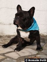 090520071738c 090520071738c