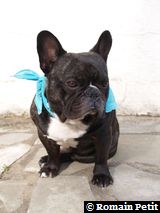 090520071739a 090520071739a