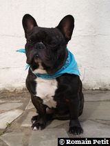 090520071739b 090520071739b