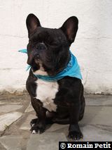 090520071739c 090520071739c