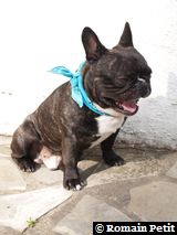 090520071740a 090520071740a